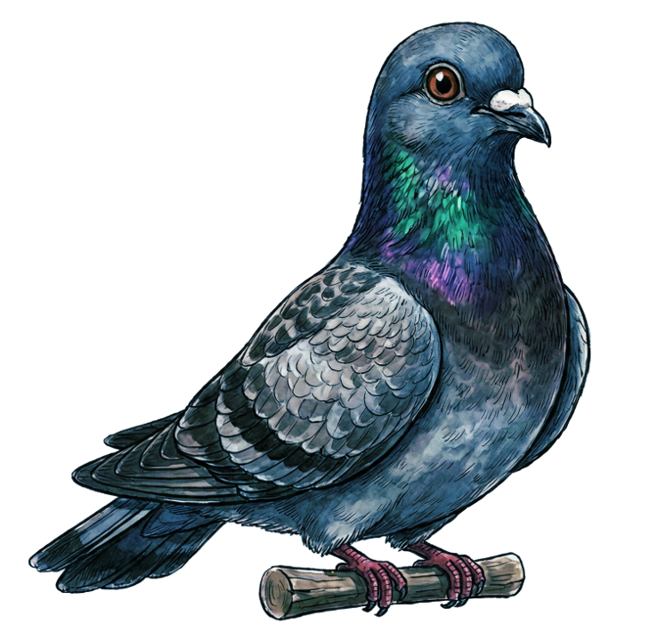 Geospatial Pigeon